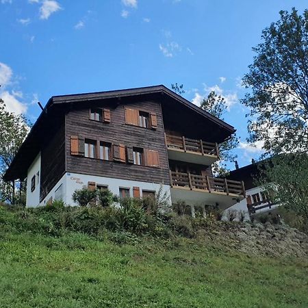 Chalet Carpe Diem Fieschertal Eksteriør billede