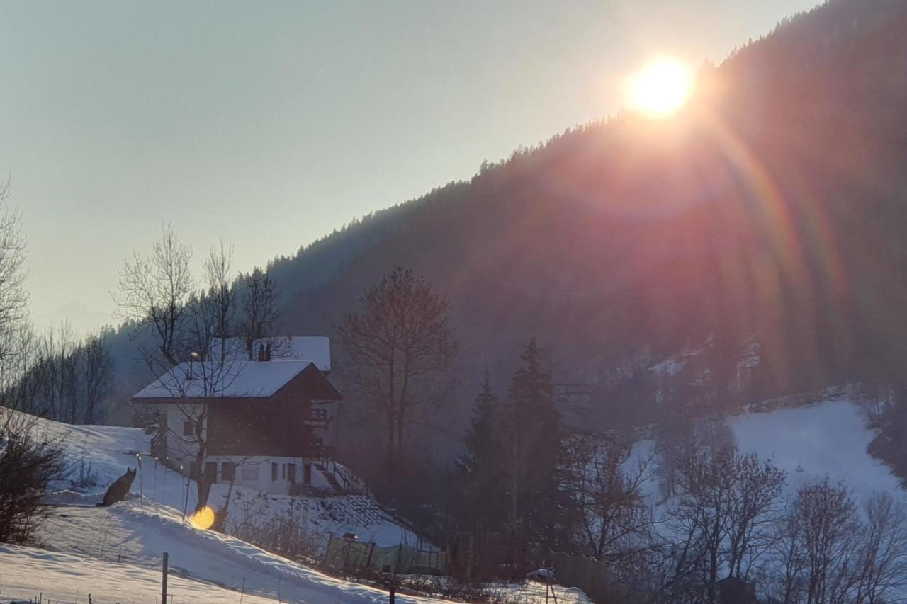 Chalet Carpe Diem Fieschertal Eksteriør billede