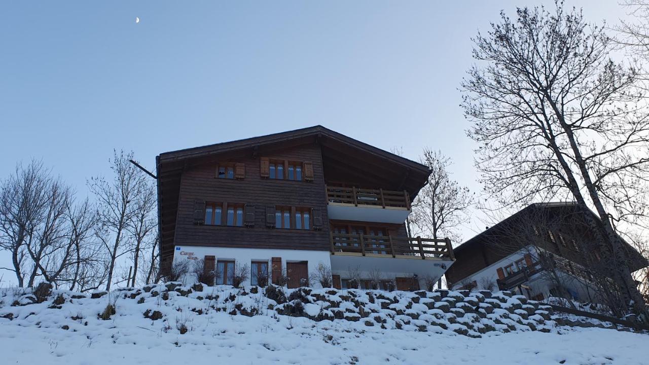 Chalet Carpe Diem Fieschertal Eksteriør billede