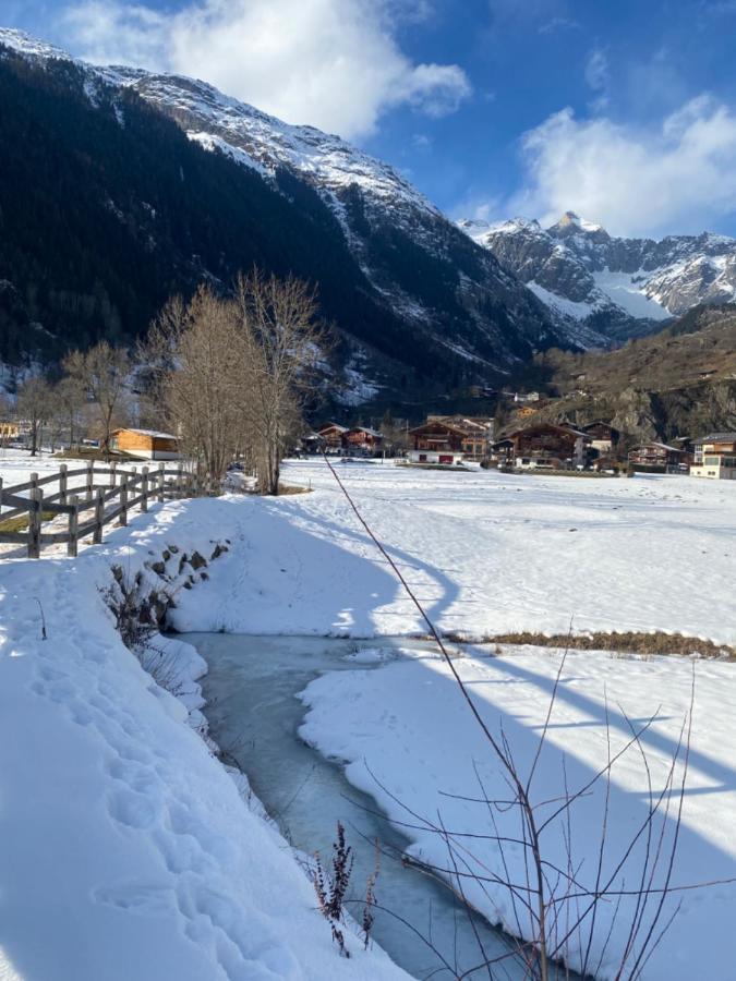Chalet Carpe Diem Fieschertal Eksteriør billede